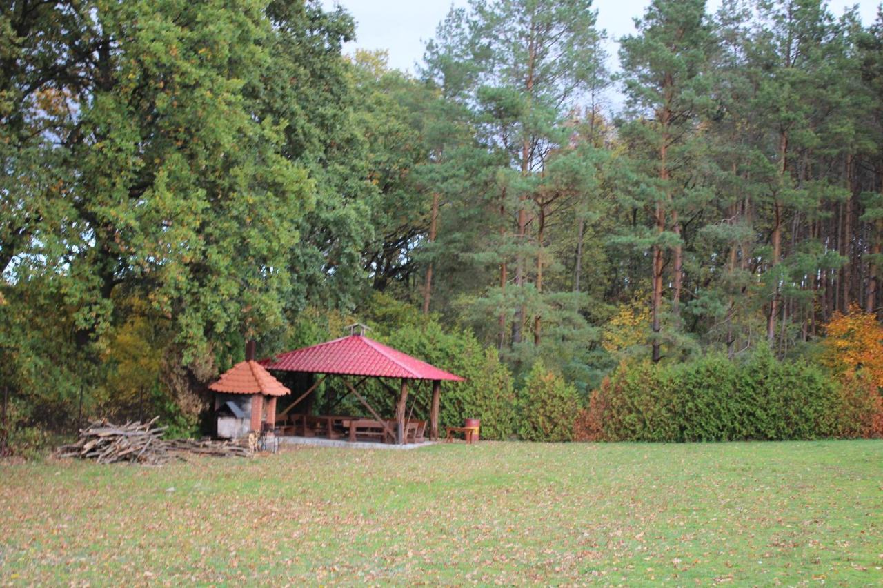 Gospodarstwo Agroturystyczne Agroletnica Swidnica  Bagian luar foto
