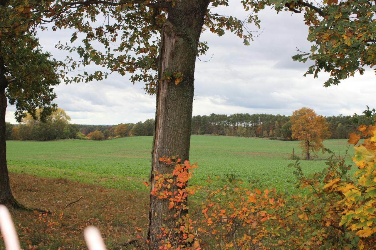 Gospodarstwo Agroturystyczne Agroletnica Swidnica  Bagian luar foto