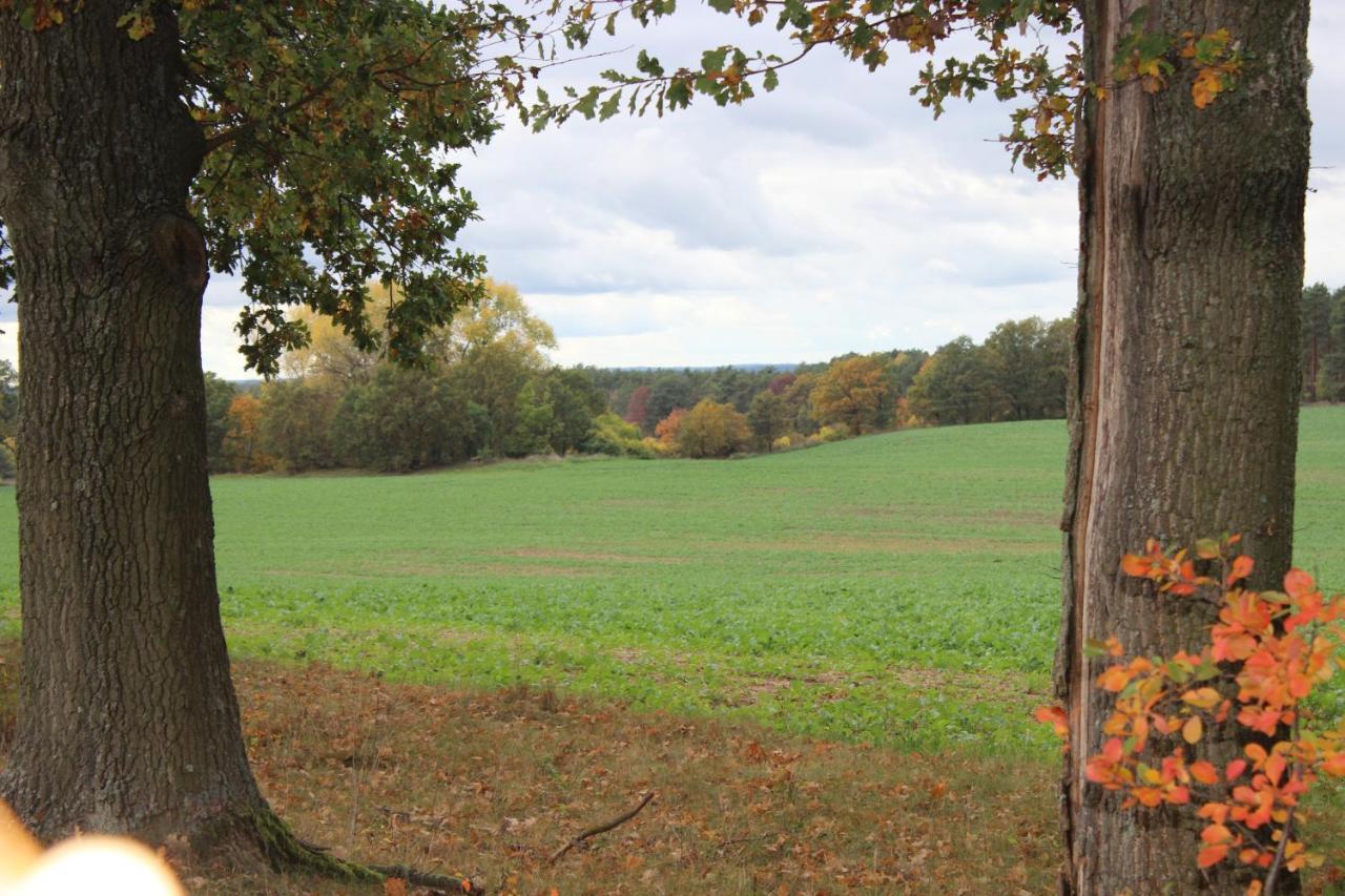 Gospodarstwo Agroturystyczne Agroletnica Swidnica  Bagian luar foto