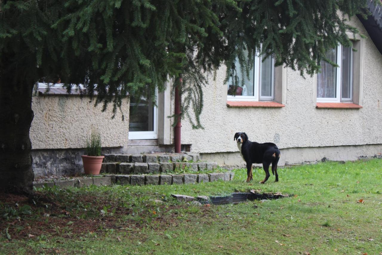 Gospodarstwo Agroturystyczne Agroletnica Swidnica  Bagian luar foto