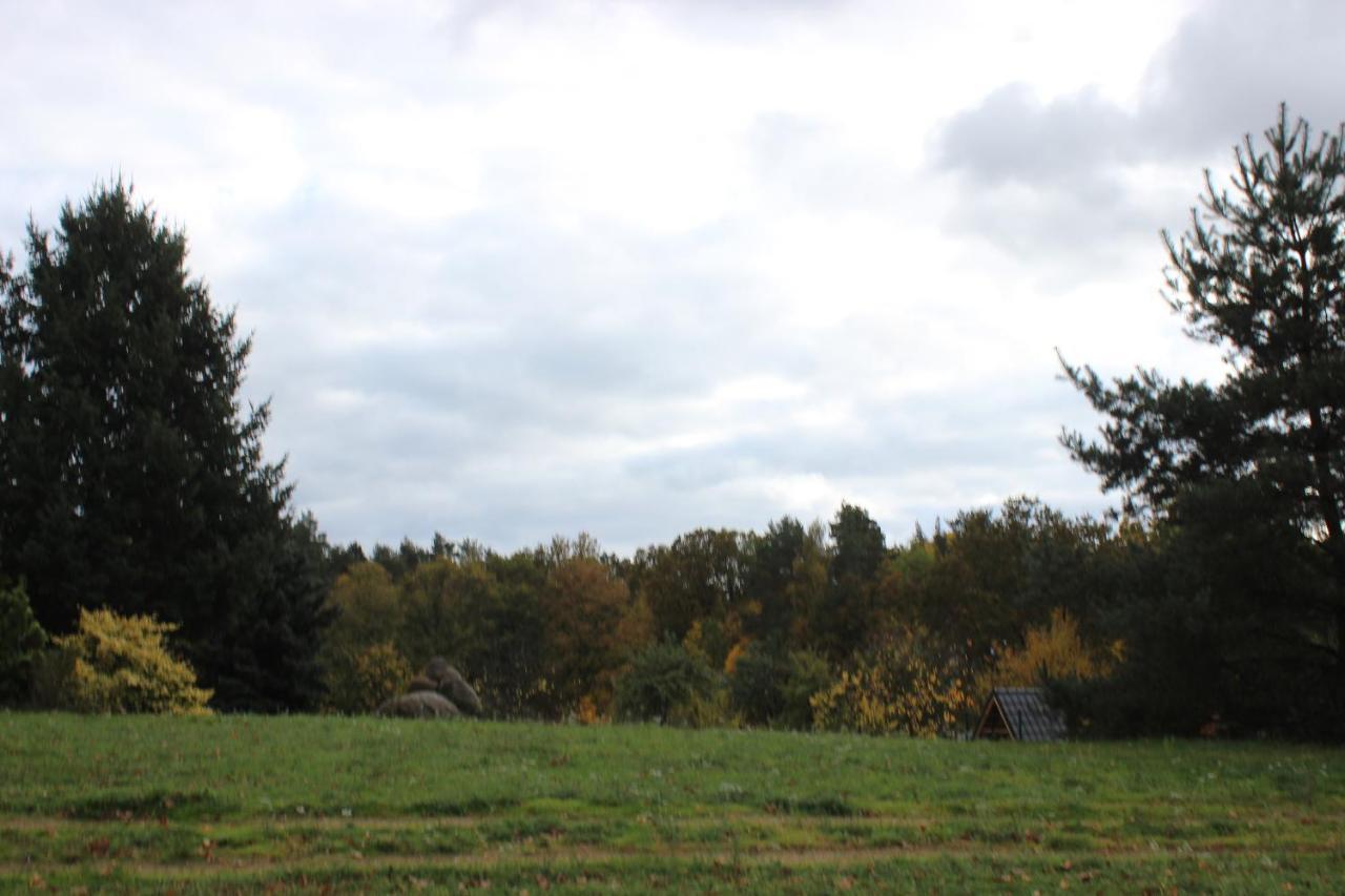 Gospodarstwo Agroturystyczne Agroletnica Swidnica  Bagian luar foto