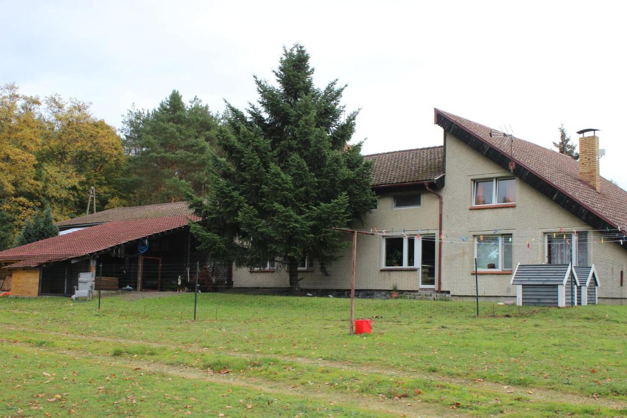 Gospodarstwo Agroturystyczne Agroletnica Swidnica  Bagian luar foto