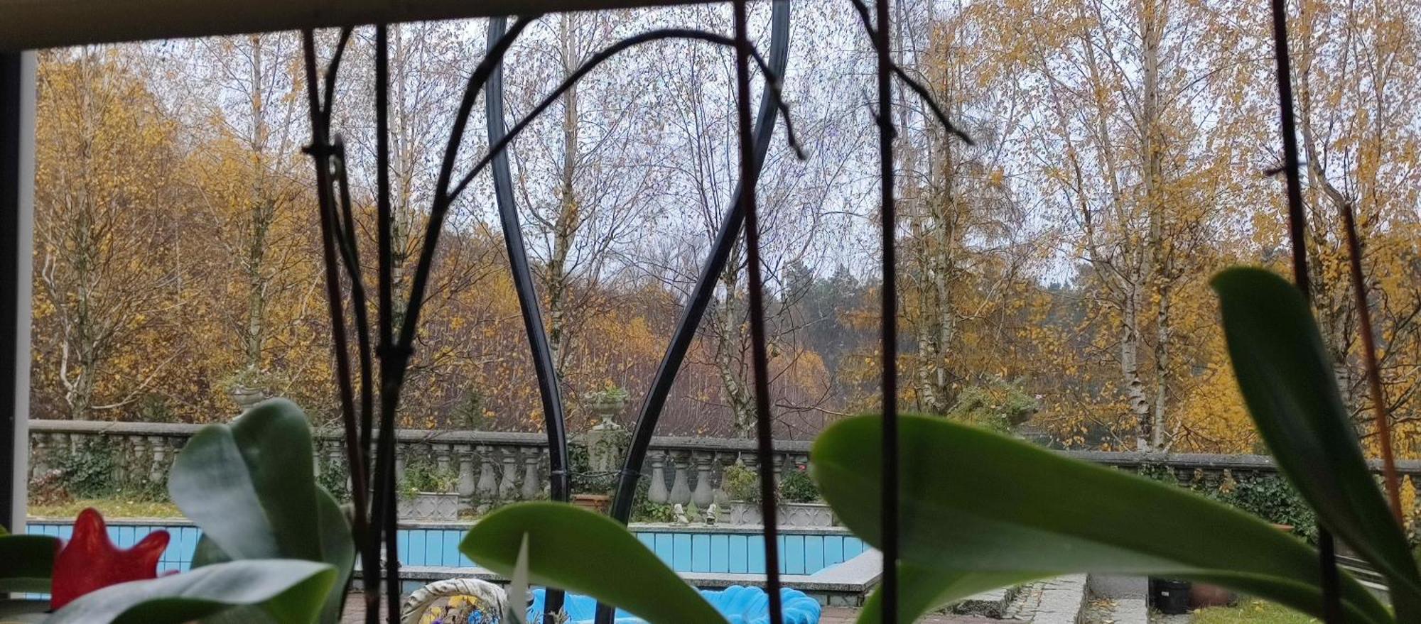 Gospodarstwo Agroturystyczne Agroletnica Swidnica  Bagian luar foto