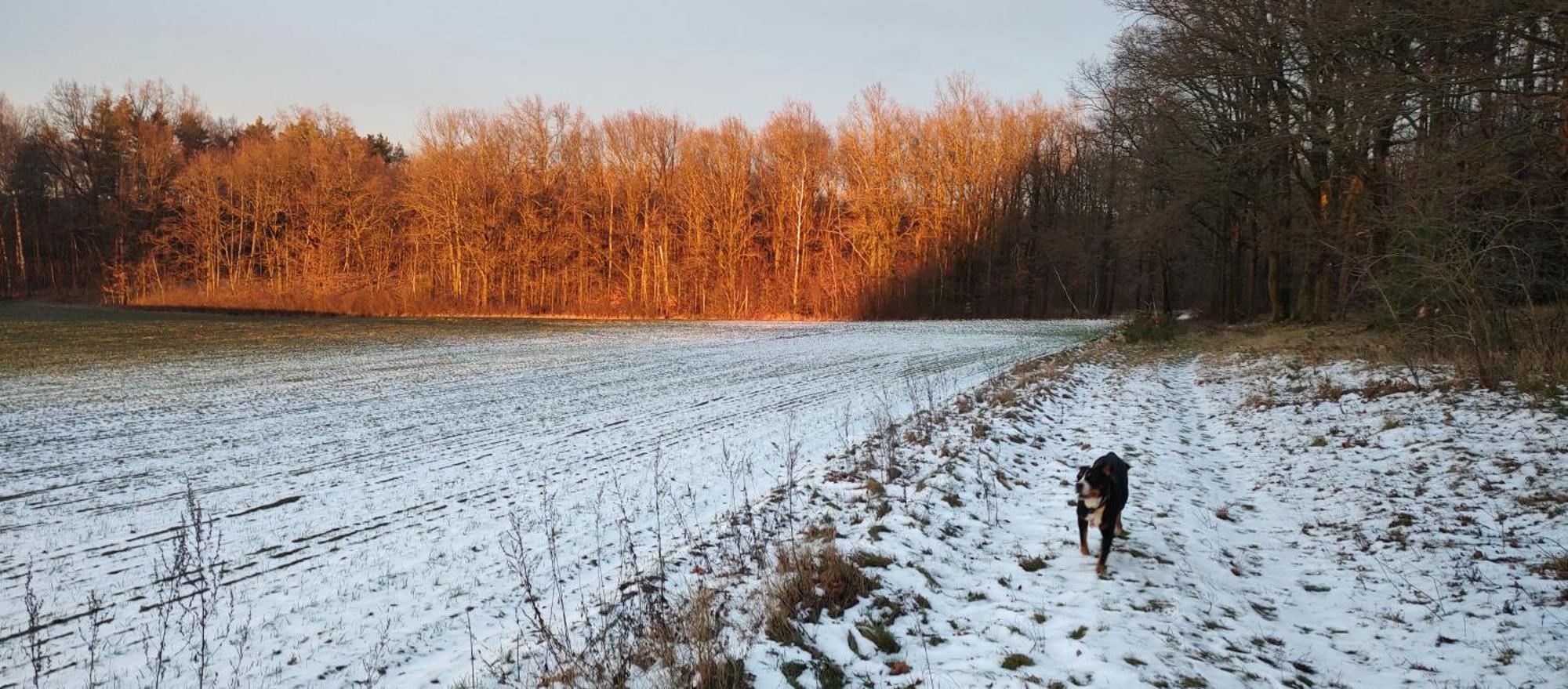 Gospodarstwo Agroturystyczne Agroletnica Swidnica  Bagian luar foto
