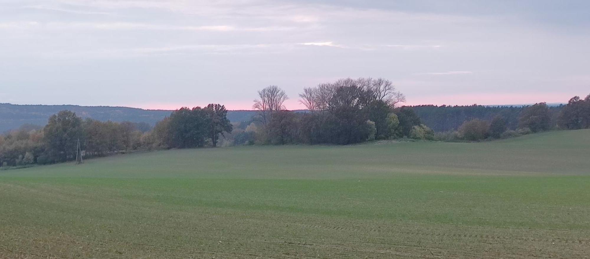 Gospodarstwo Agroturystyczne Agroletnica Swidnica  Bagian luar foto